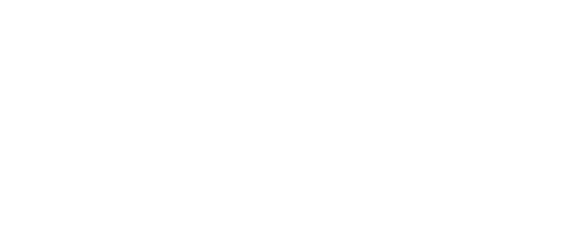 Millennial Impact Report